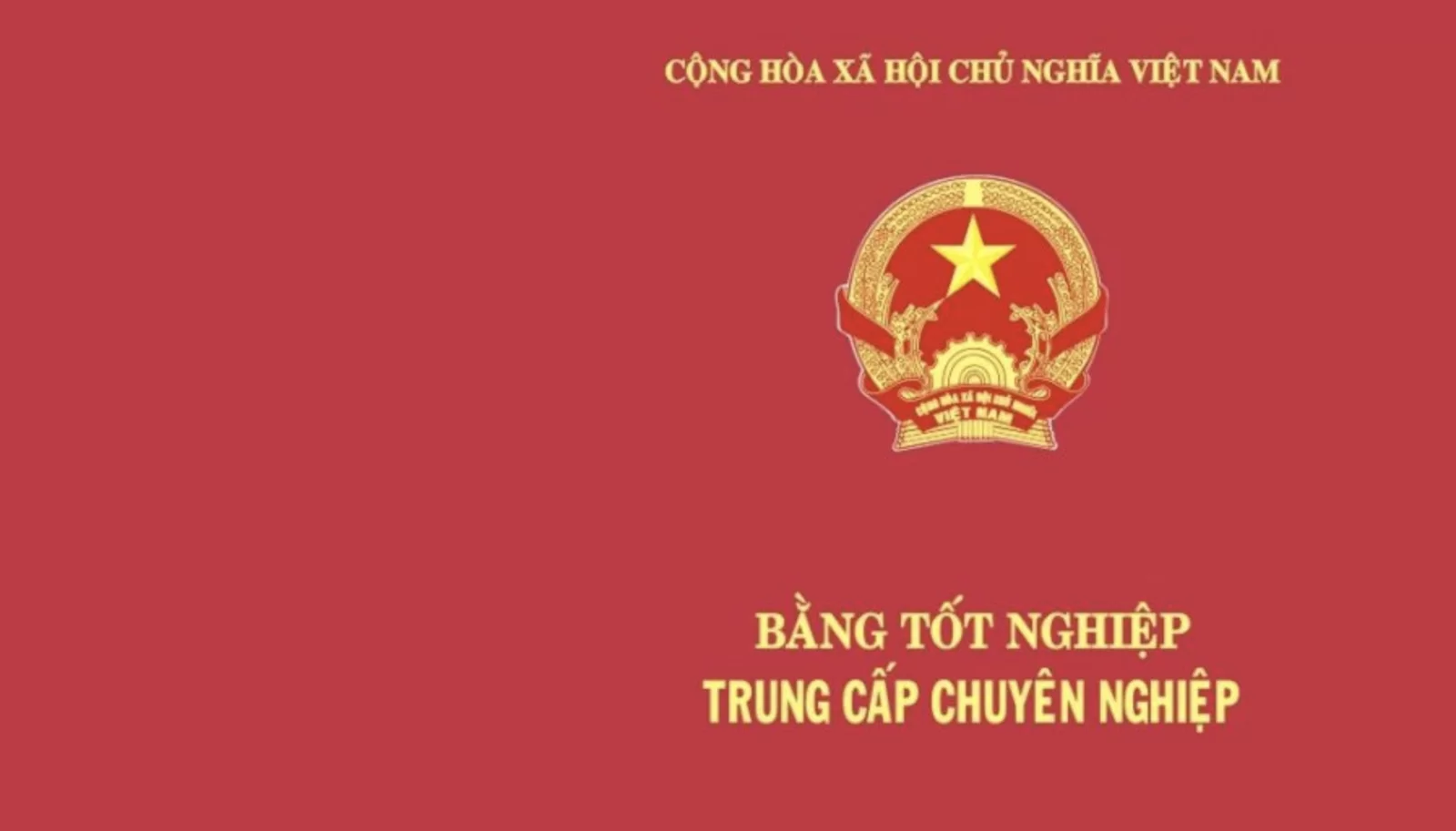 mua-bang-trung-cap-chuyen-nghiep-tron-bo-bang-diem-51